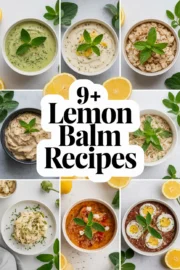lemon-balm-recipes-ddddd-34305