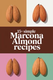 marcona-almond-ccccc-86416