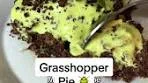 Mint Chocolate Chip Dessert: Easy Recipe to Delight