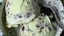 Mint Chocolate Chip Ice Cream