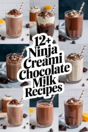 ninja-creami-chocolate-milk-recipes-ddddd-14254
