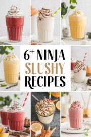ninja-creami-slushy-recipes-ddddd-77365