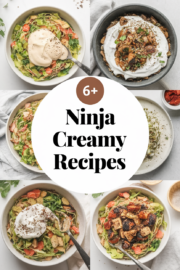 ninja-creamy-recipes-ddddd-67094