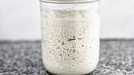 So Easy Gluten Free Sourdough Starter | Easy to MAINTAIN ...