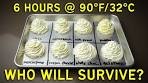 Stabilized Whipped Cream: Literally Everything You Need to ...