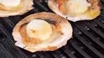 These garlic butter scallops are a great addition to your festive ...