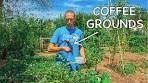 What Happens When You Use Coffee Grounds in the Garden?