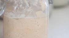 Whole Wheat Sourdough Starter