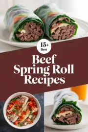 beef-spring-roll-ccccc-