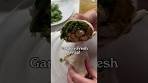 Easy & Healthy Garden-Fresh Wrap!