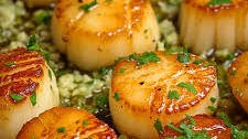 Garlic Lemon Butter Seared Scallops