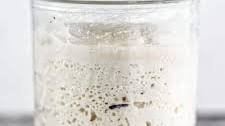 Gluten Free Sourdough Starter