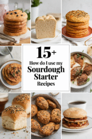how-do-i-use-my-sourdough-starter-recipes-ddddd-29181