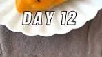 Kirby Ip | 😎 DAY 12 of 15 - EASY HACKS AND RECIPES ...