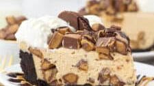 No Bake Peanut Butter Cup Cheesecake