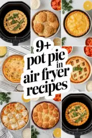 9+ Irresistibly Delicious Homemade Pot Pie Recipes You Can Make in an Air Fryer Today! pot-pie-in-air-fryer-recipes-ddddd-80065