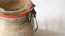 Rye Sourdough Starter