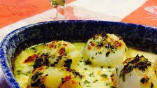 Scallop Gratin