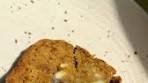 Skylar Sokolowski | BROWN BUTTER SOURDOUGH ...