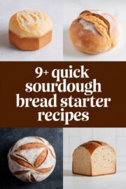 sourdough-bread-starter-ccccc-87334