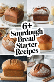 sourdough-bread-starter-recipes-ddddd-55950