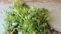 Spring Frittata with Fresh Garden Herbs
