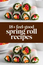 spring-roll-recipes-ccccc-