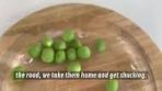 Summer Pea Pasta Salad Serves 4-8 Prep time 10 minutes ...