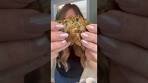 Two Ingredient Fried Pickle Fritters | recipe from ...
