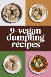 vegan-dumplings-ccccc-