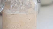Whole Wheat Sourdough Starter