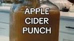 Apple Cider Punch 🍎🍂🍁 #falldrinks #appleciderrecipe | drinks
