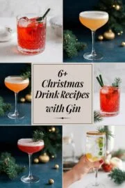6+ Simple Christmas Drink Recipes with Gin to Delight Your Holiday Gatherings – christmas drink recipes with gin