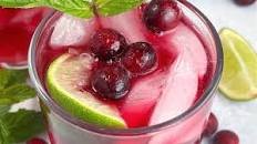 Cranberry Gin Mule Cocktail