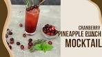 Cranberry Pineapple Punch Mocktail Recipe | Winter Drinks ...