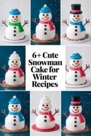 6+ Quick and Cute Snowman Cake Recipes to Brighten Your Winter Celebrations! 6+ Quick and Cute Snowman Cake Recipes to Brighten Your Winter Celebrations! – cute snowman cake for winter recipes