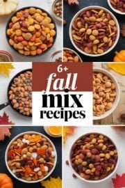 6+ Easy Fall Chex Mix Recipes That Will Delight Your Taste Buds This Season! 6+ Easy Fall Chex Mix Recipes That Will Delight Your Taste Buds This Season! – fall chex mix recipes