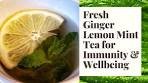 Fresh Lemon Ginger Mint Tea for Immunity & Wellbeing ...