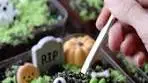 GRAVEYARD DIRT CAKES a classic Halloween treat! #ad I ...