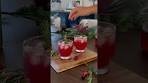 Holiday Cocktail! Cranberry Moscow Mule Recipe!