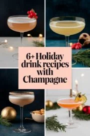 6+ Simple Champagne Holiday Drink Recipes to Sparkle Your Celebrations! – holiday drink recipes with champagne