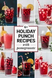 6+ Easy Holiday Punch Recipes with Pomegranate to Impress Your Guests! 6+ Easy Holiday Punch Recipes with Pomegranate to Impress Your Guests! – holiday punch recipes with pomegranate