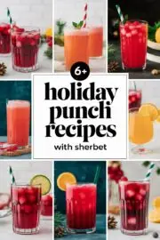 6+ Amazing Holiday Punch Recipes with Sherbet to Delight Your Guests! – holiday punch recipes with sherbet