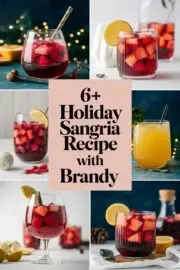 6+ Feel-Good Holiday Sangria Recipes with Brandy to Delight Your Guests – holiday sangria recipe with brandy