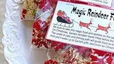 Magic Reindeer Food