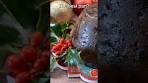 My Mum's Christmas Pudding Recipe #recipe ...