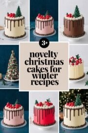 3 Simple Novelty Christmas Cakes to Brighten Your Winter Celebrations! 3 Simple Novelty Christmas Cakes to Brighten Your Winter Celebrations! – novelty christmas cakes for winter recipes