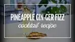 Pineapple Gin-ger Fizz Cocktail Recipe