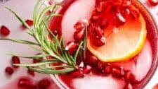 Pomegranate Cranberry Punch