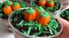 Pumpkin Patch Dirt Cups